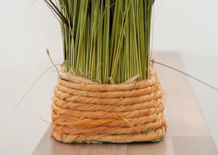 بيت للعطل 50079... *